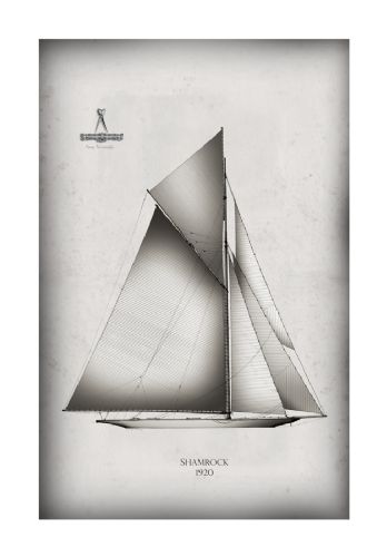 America's Cup Yacht 1920 Shamrock by Tony Fernandes
